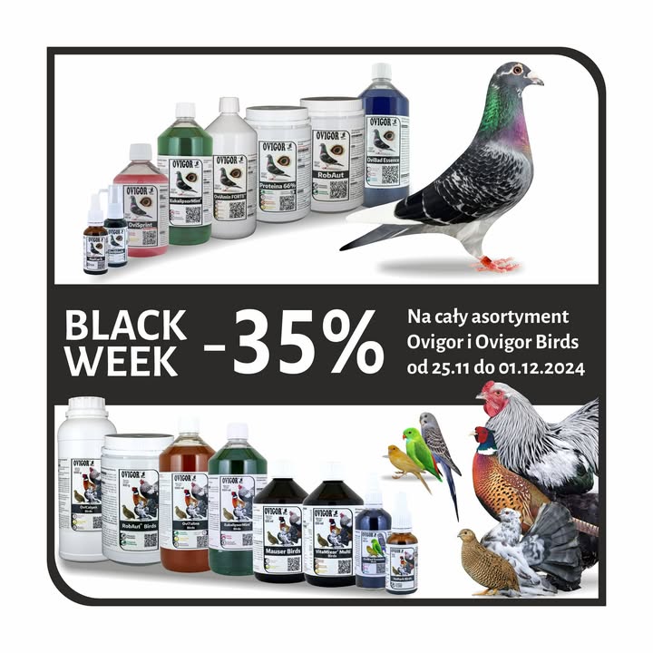 Ovigor Birds