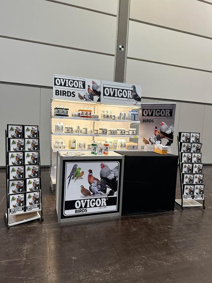 Ovigor Birds