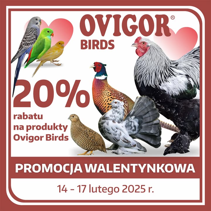 Ovigor Birds