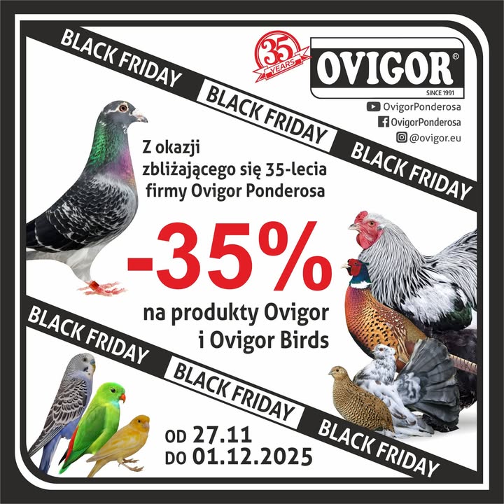 Ovigor Birds